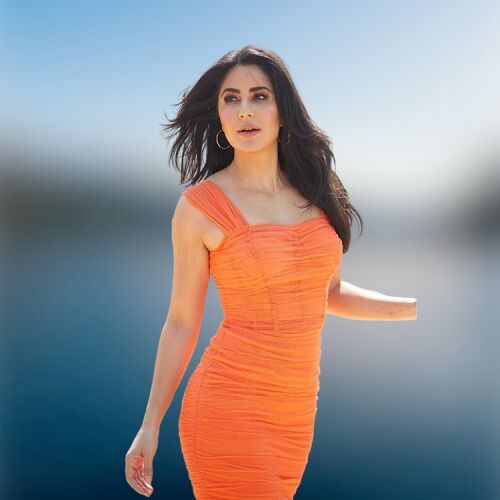 Katrina Kaif networth