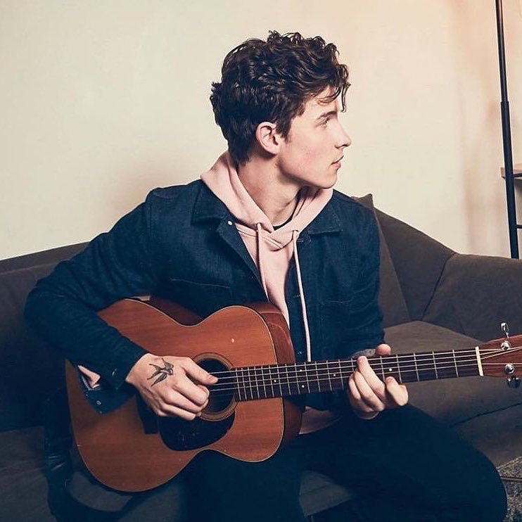 Shawn Mendes1