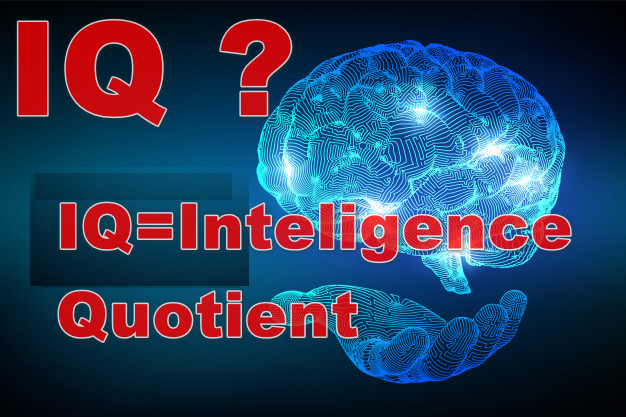 What is IQ Stand for