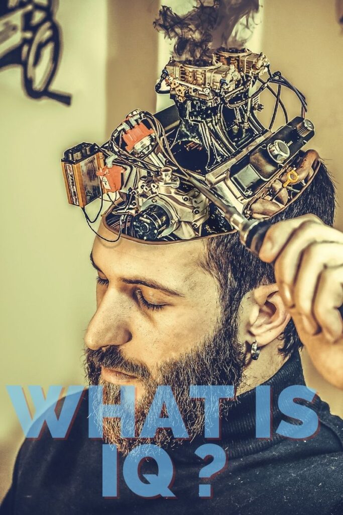 What is Iq