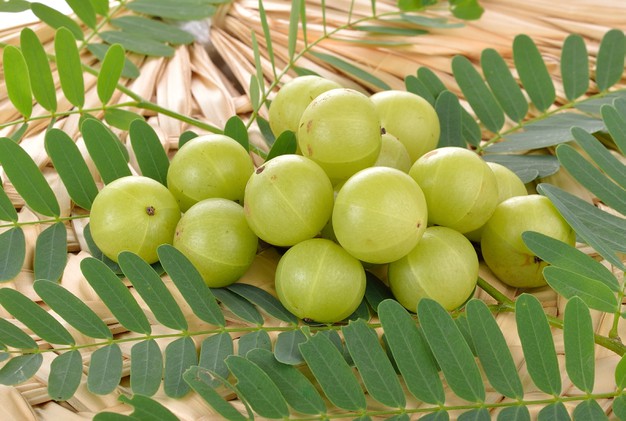 Amla-Amlaki-Indian Gooseberry