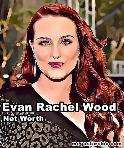Evan Rachel Wood Net Worth