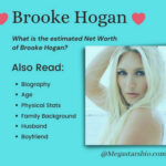 Brooke Hogan Net Worth