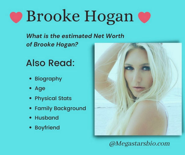 Brooke Hogan Net Worth