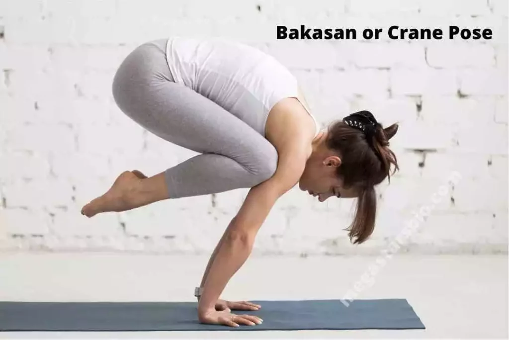 Bakasan or Crane Pose