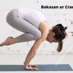 Bakasan or Crane Pose