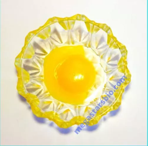 Egg Yolk