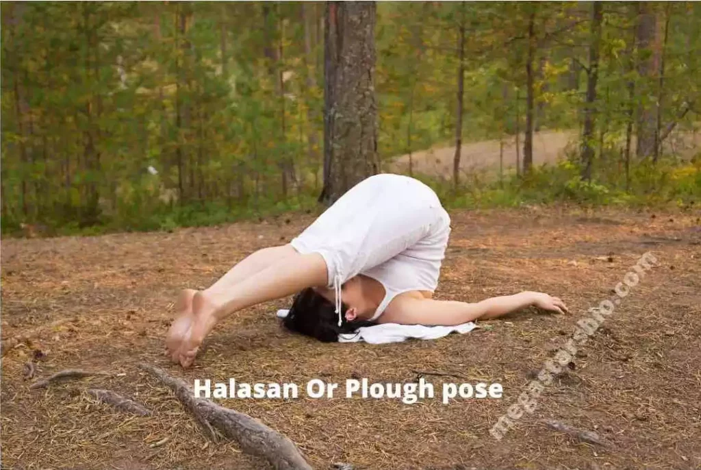 Halasan Or Plough pose