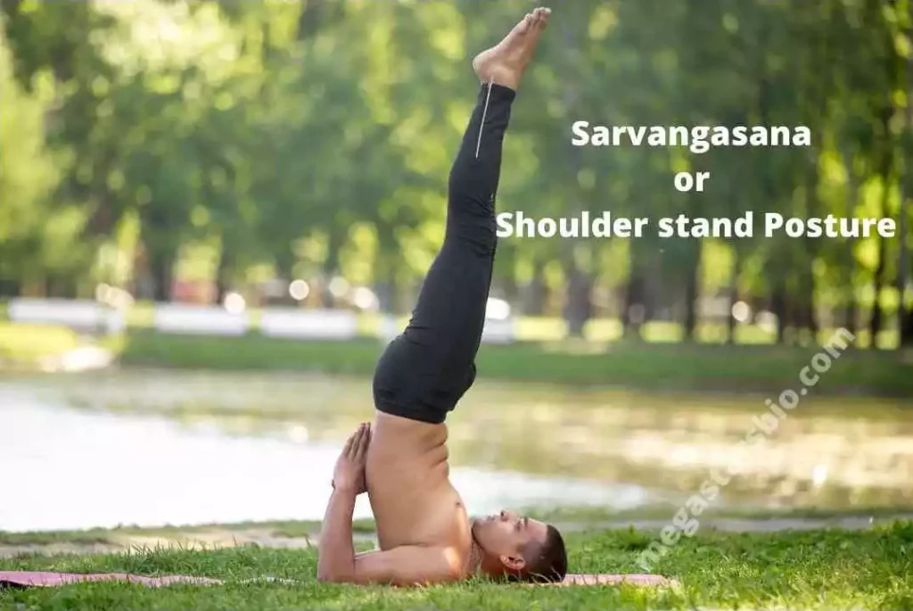Sarvangasana or Shoulder stand Posture
