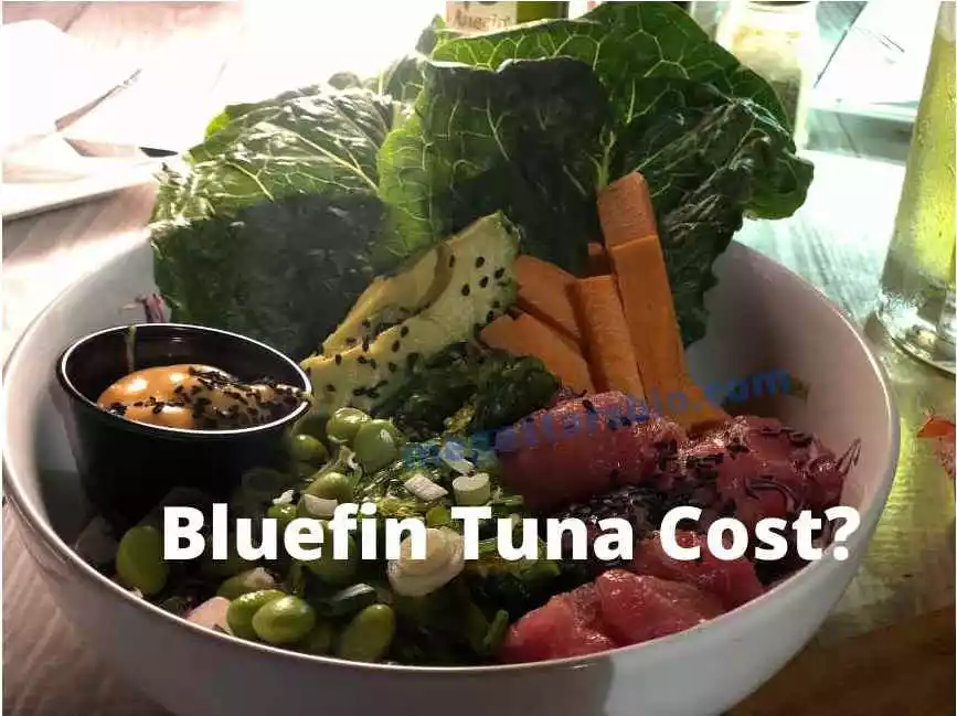 Bluefin Tuna Cost