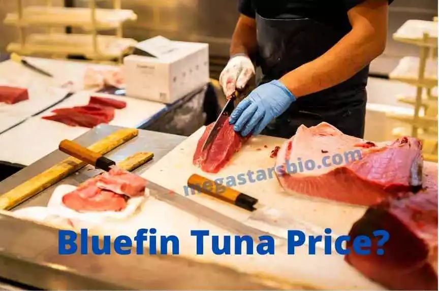 Bluefin Tuna Price