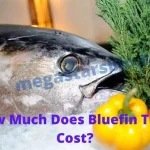 How Much Does Bluefin Tuna Cost