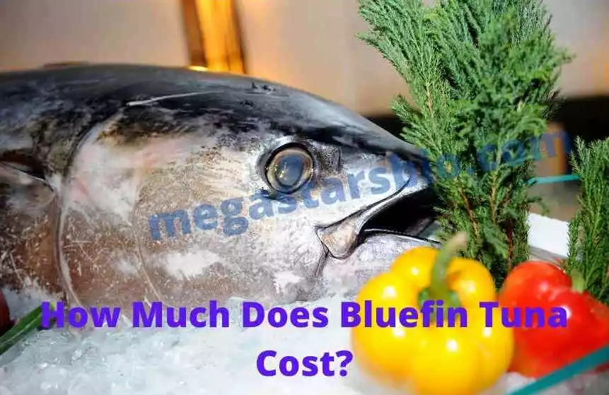 How Much Does Bluefin Tuna Cost