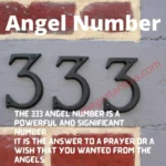 333 Angel number meaning